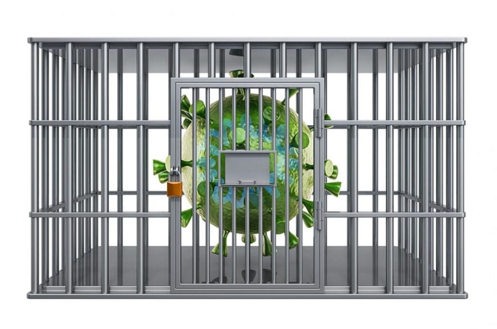 COVID-19 Threat to Jails Magnified by Flu