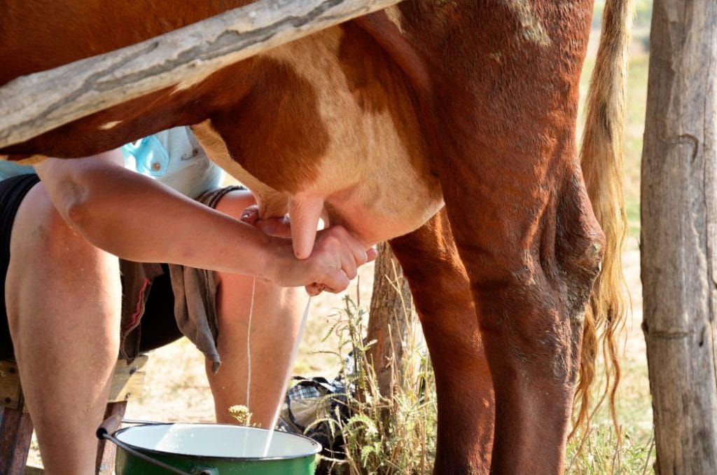 The Weirdest Laws in Texas